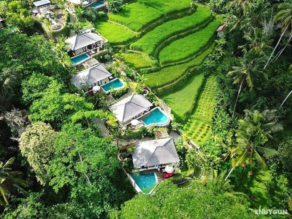 Nau Villa Ubud - Öne Çıkan Resim