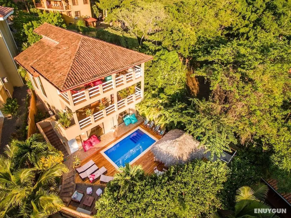 Villa Nautilus - Öne Çıkan Resim