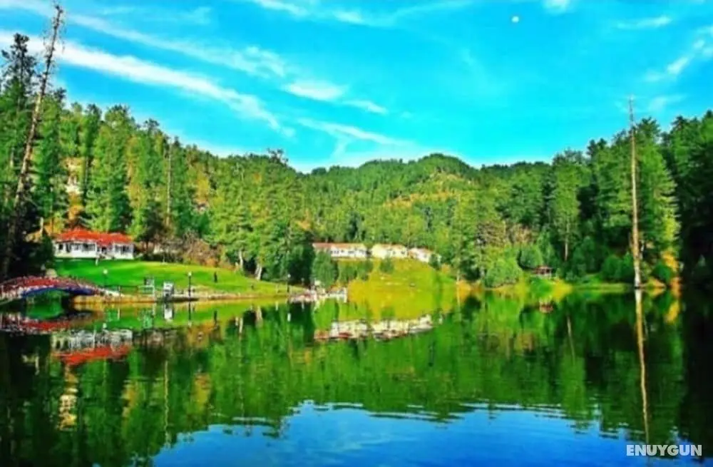 Nawab Palace Hotel & Restaurant - Dış Mekan