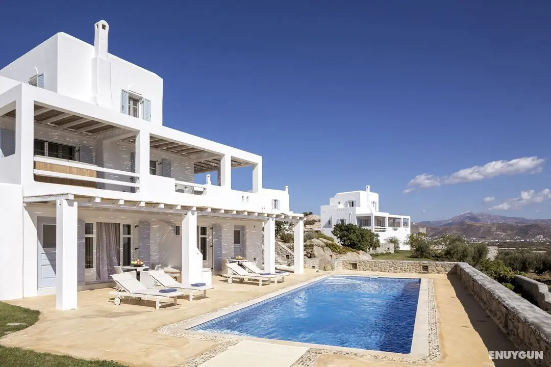 Naxian Collection Luxury Villas & Suites - Genel
