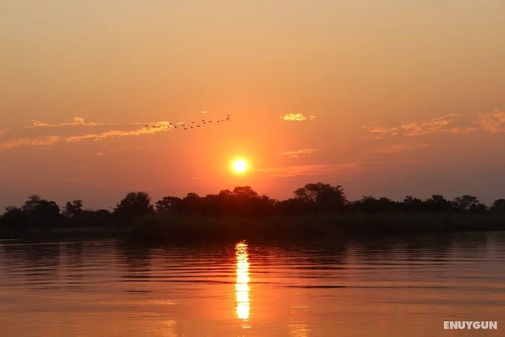 Ndhovu Safari Lodge - Campground - Öne Çıkan Resim