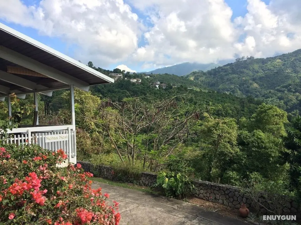 Neita's Nest - Jamaican Bed & Breakfast - Öne Çıkan Resim