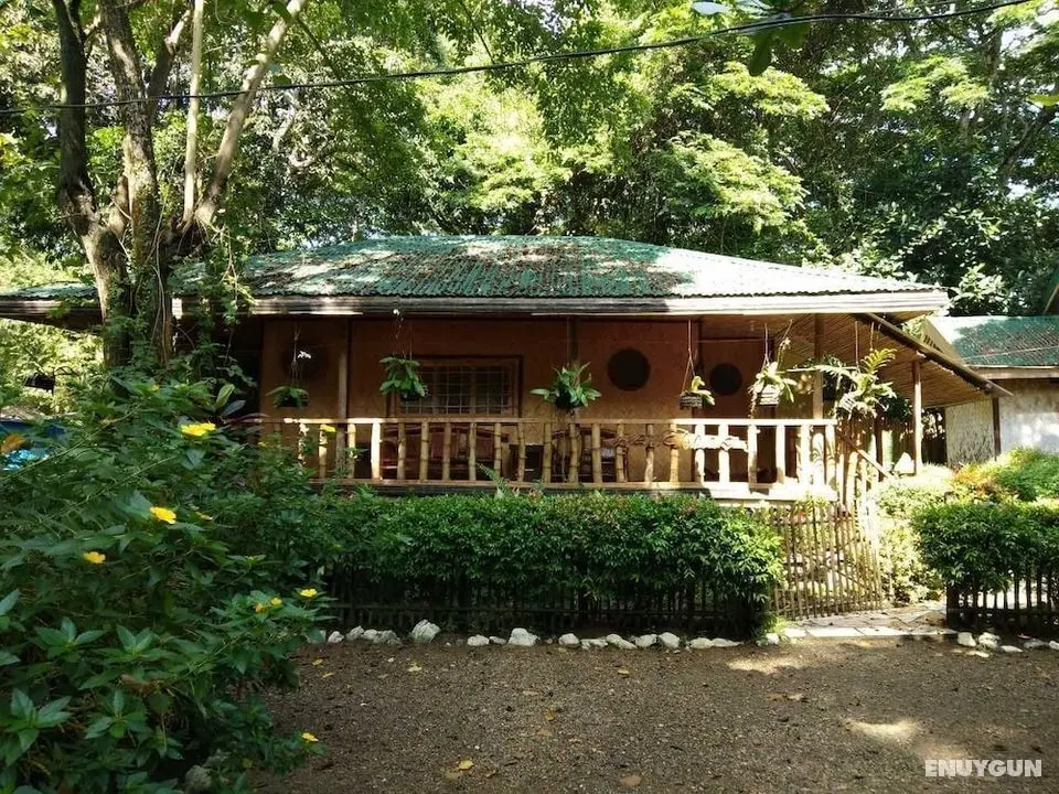 Nelly's Nipa hut - Öne Çıkan Resim