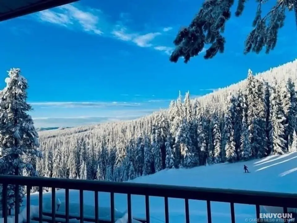 Nest on Perfection - Newly Renovated Ski In Ski Out Mountain View Condo - Oda Düzeni