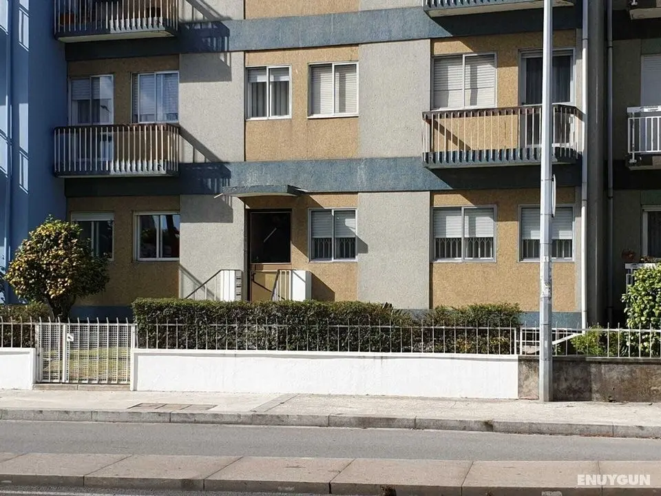 The Nest - Dış Mekan
