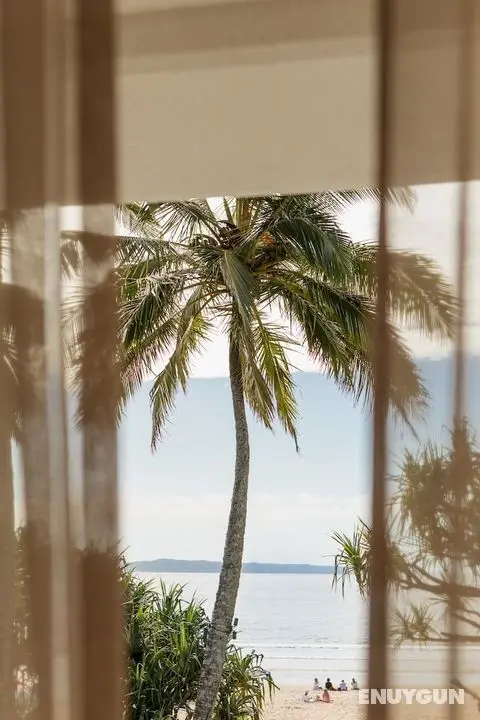 Netanya Noosa - Öne Çıkan Resim