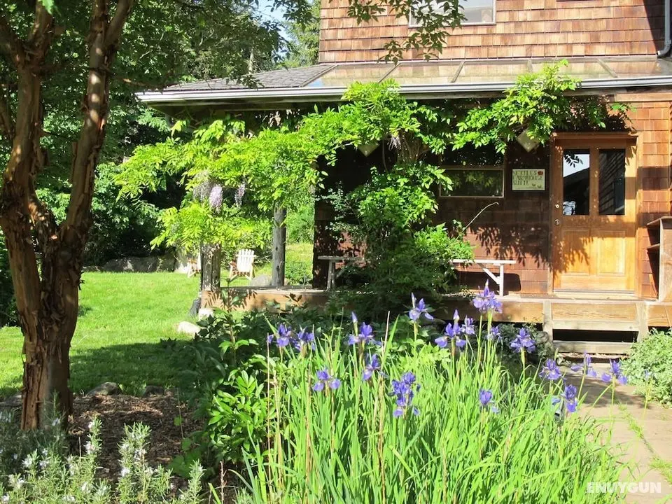 Nettles Farm - Öne Çıkan Resim
