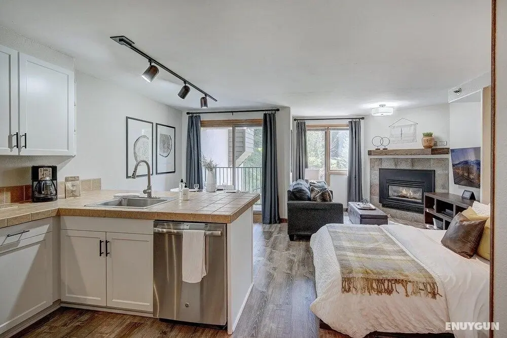 New Chic Ski-in Ski-out Condo Park - Oda