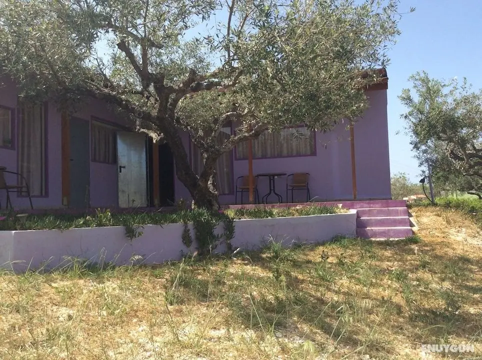 New and Colorful Studio Near Airport and Beach in Heraklion - Dış Mekan