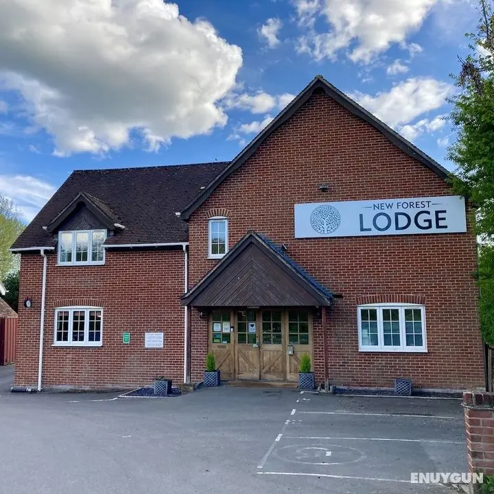 New Forest Lodge - Öne Çıkan Resim