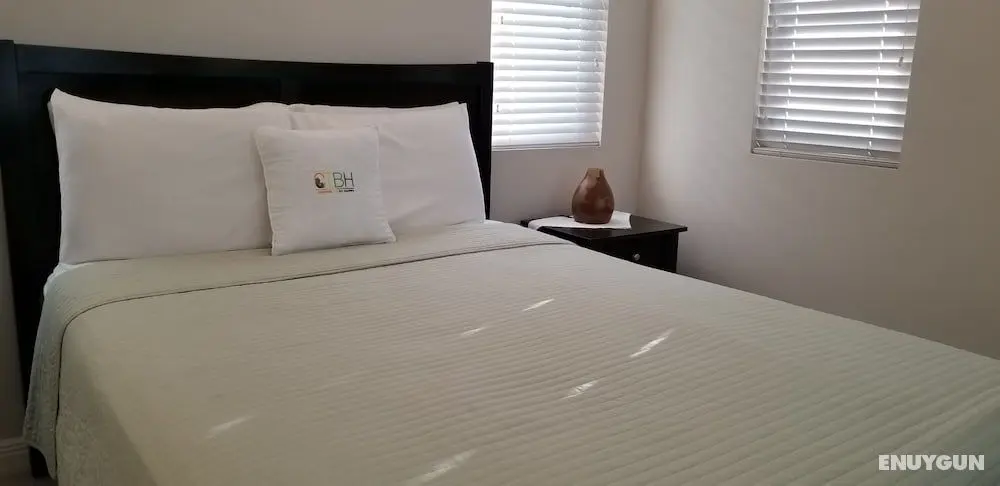 New Kingston Guest Apartment at Eight - Öne Çıkan Resim