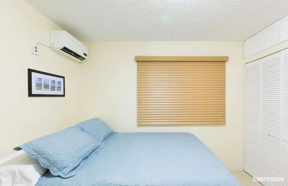 New Kingston Guest Apartment IV - Öne Çıkan Resim