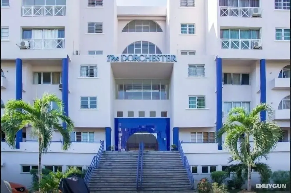 New Kingston Guest Apt at Dorchester - Öne Çıkan Resim