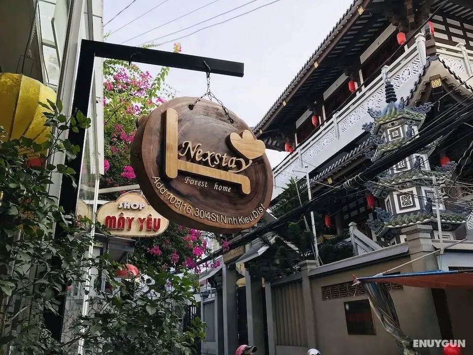 Nexstay Forest Home - Öne Çıkan Resim