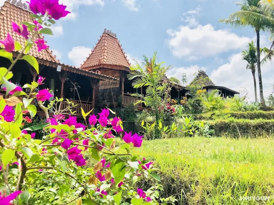 Villa Neyang - Öne Çıkan Resim