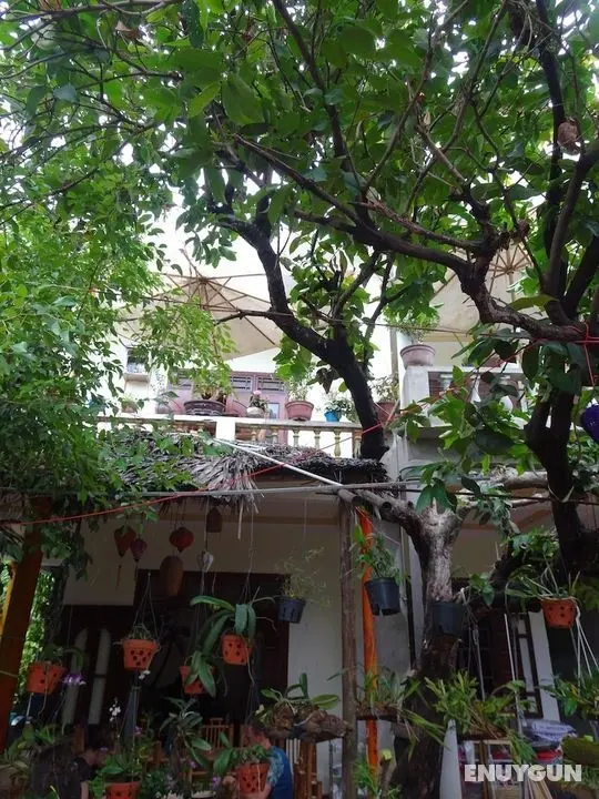 Ngo Khanh Homestay - Lobi