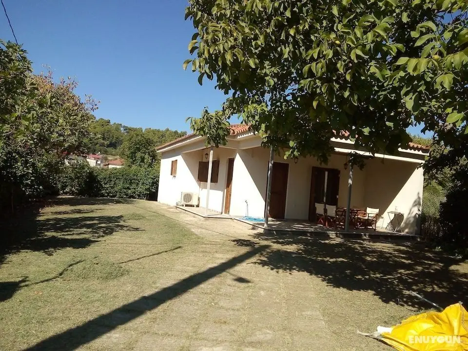 Nice Villa With Garden in Ancient Olympia, Greece - Öne Çıkan Resim