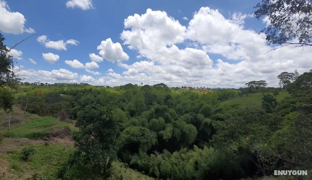 Nice Place In Quimbaya Quindio Close to Natural Parks - Dış Mekan
