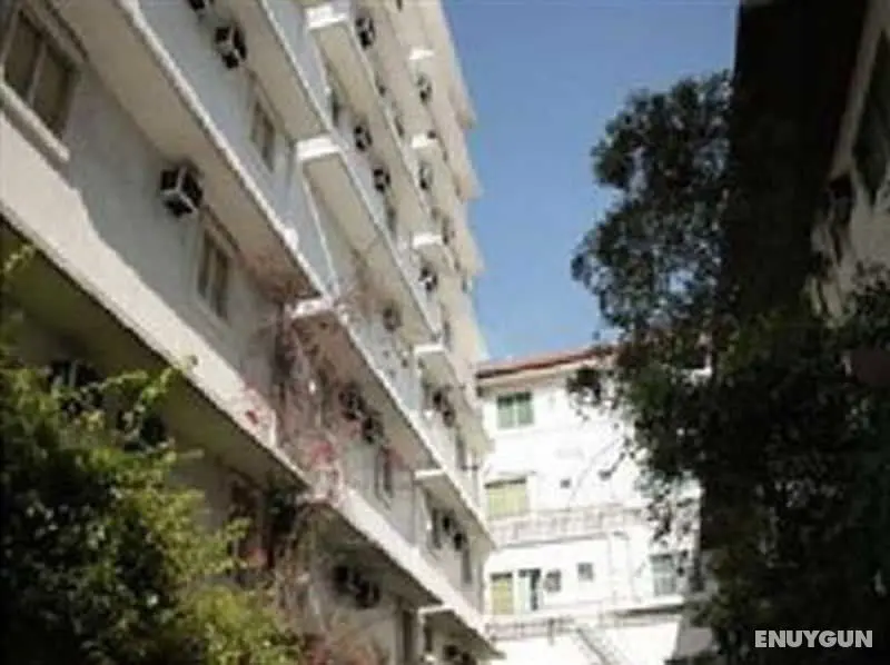 Nichols Airport Hotel - Genel