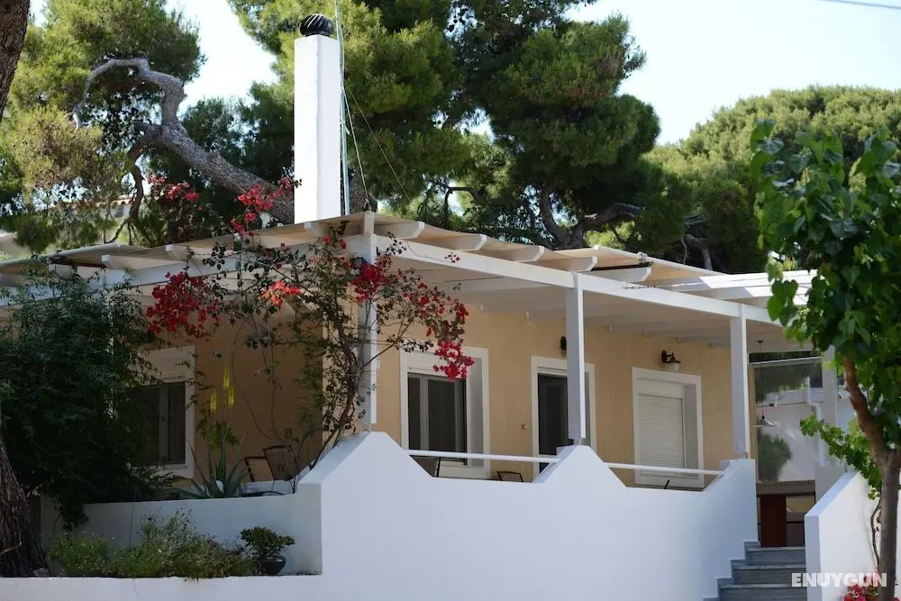 Nick's House - Öne Çıkan Resim