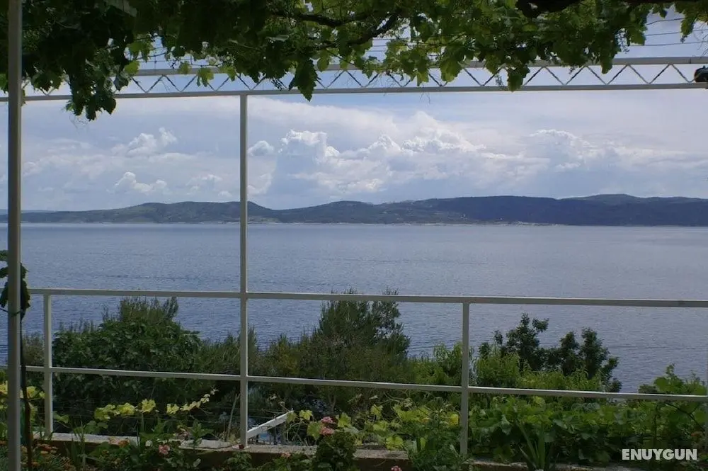 Niko - 50 m From Pebble Beach - SA1 - Öne Çıkan Resim