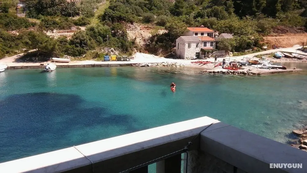 Nikola - in Front of the sea - A1 - Öne Çıkan Resim