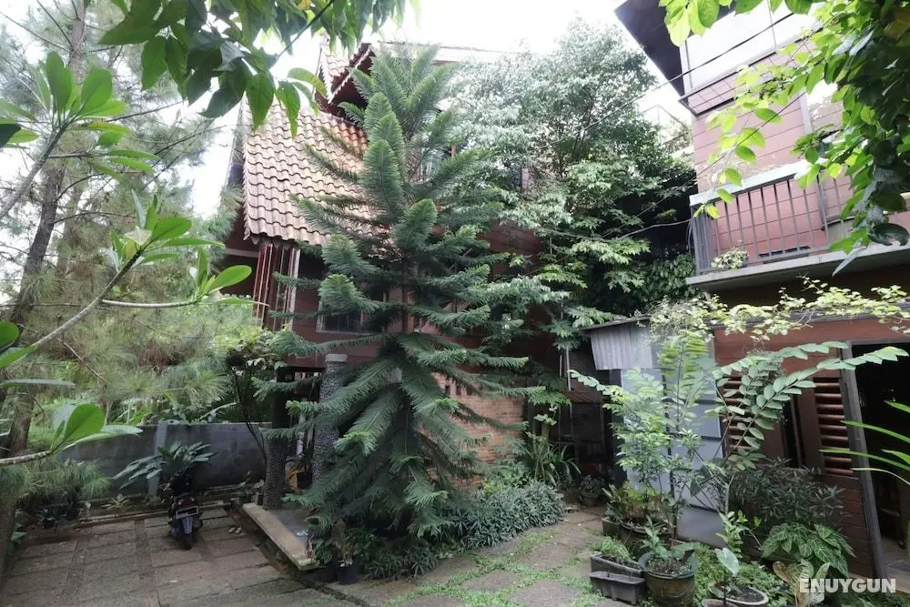 NILA HOUSE, Sharia Family Home Stay - Dış Mekanlar