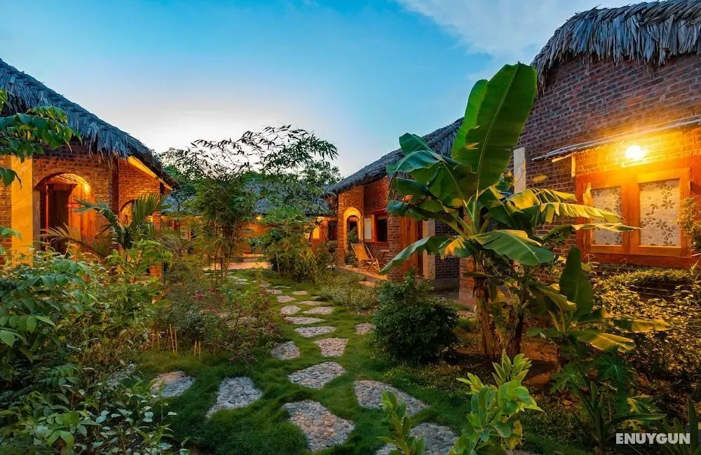 Ninh Binh Palm Homestay - Öne Çıkan Resim