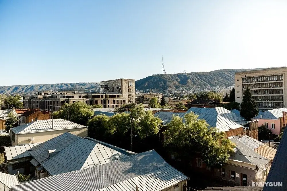 Ninoshvili Apartments by Picnic - Oda Manzaraları