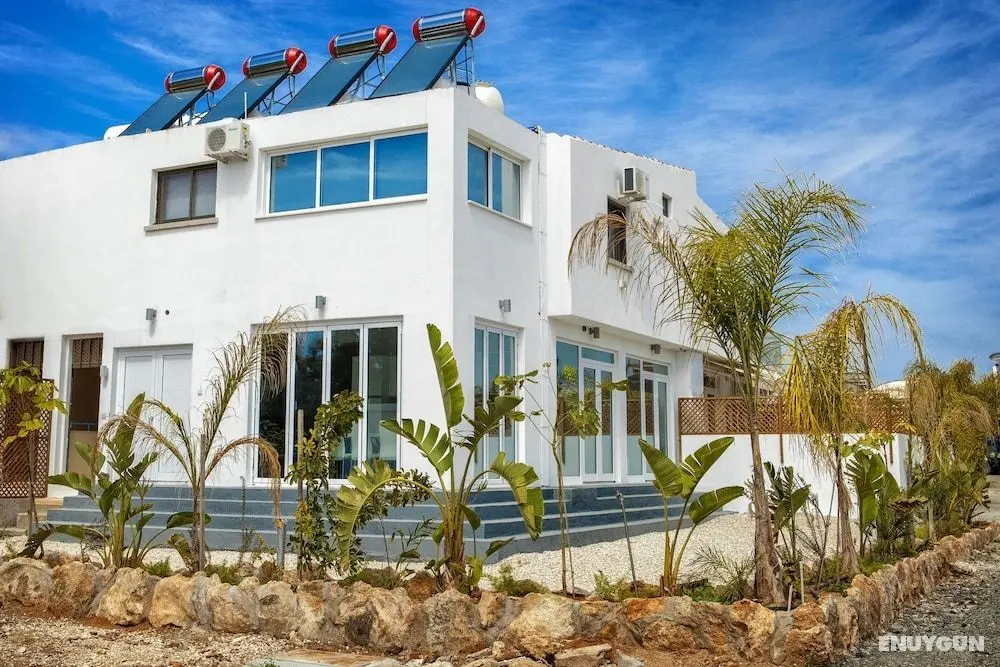Nissi Avenue Apartment in Ayia Napa - Dış Mekan