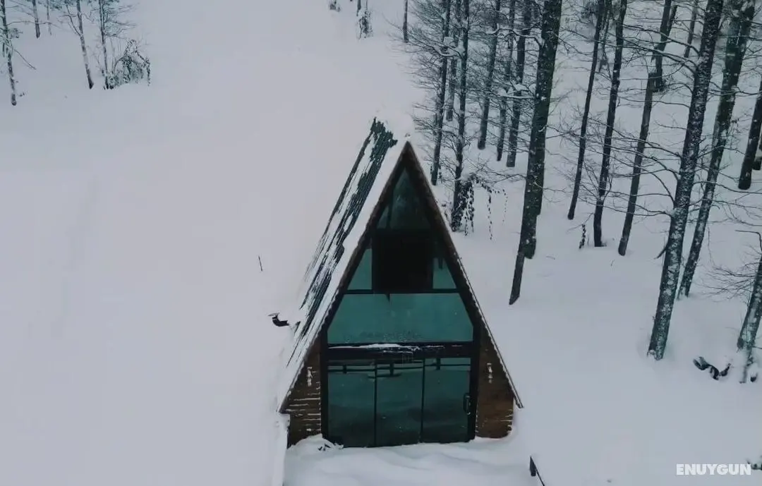 Niva Suit Bungalov - Dış Mekan