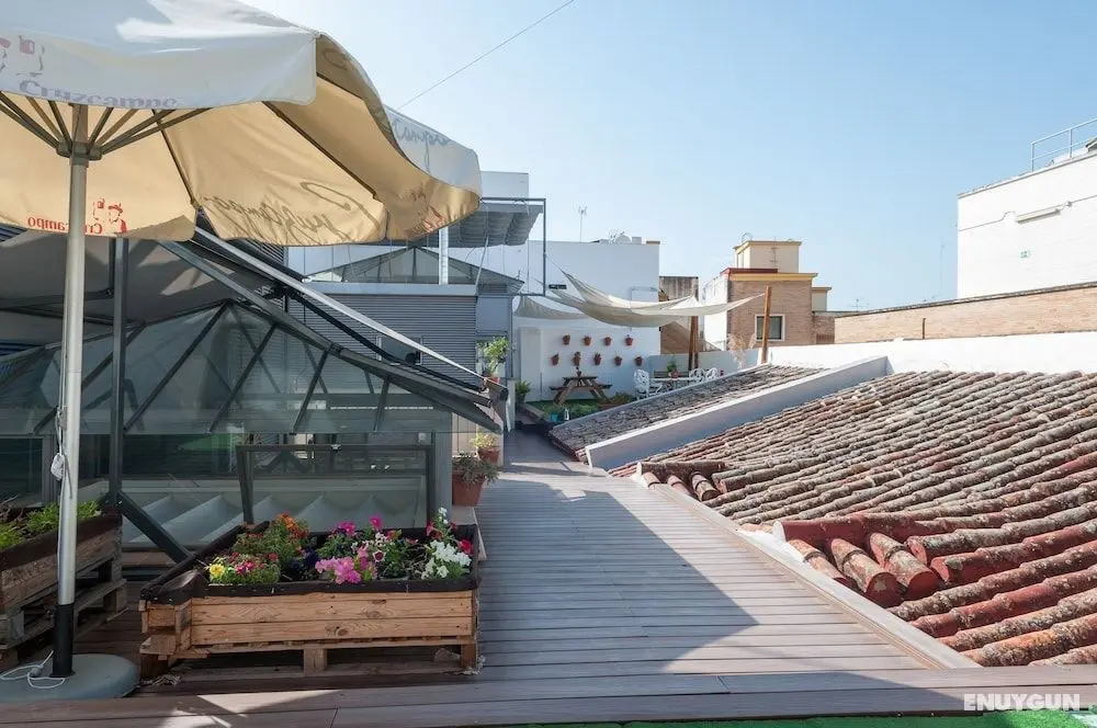 The Nomad Hostel - Dış Mekanlar