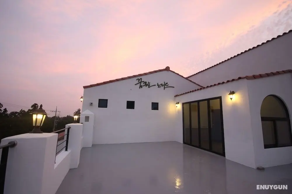 Nomad Pension in Jeju - Dış Mekan