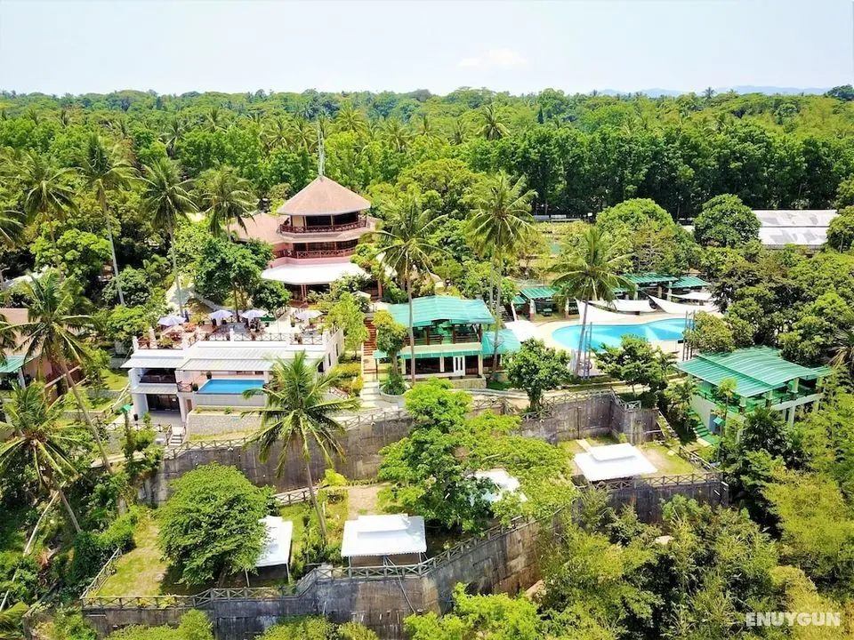 Noni's Resort - Öne Çıkan Resim