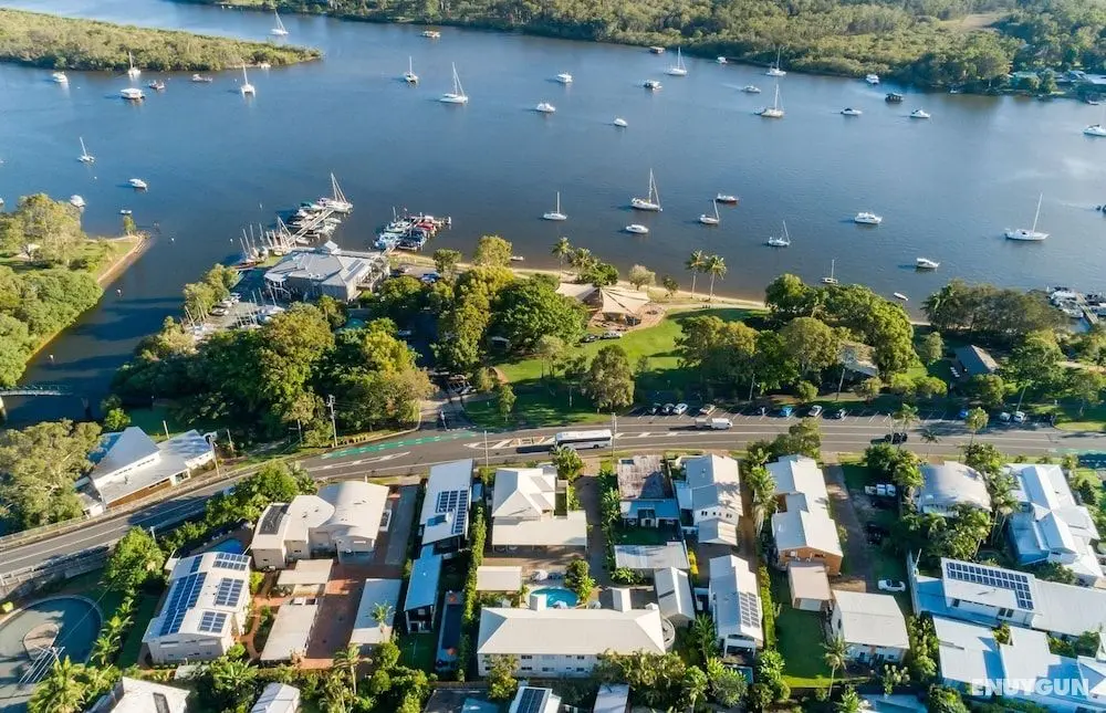 Noosa River Palms - Öne Çıkan Resim