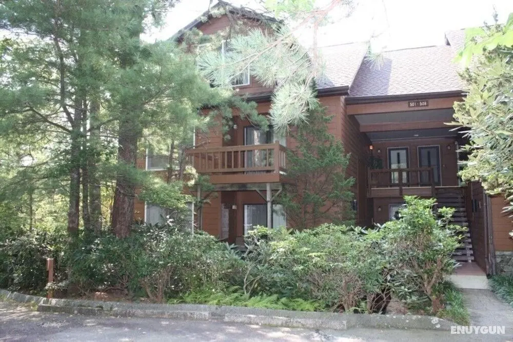 North Carolina Mountain Retreat - Öne Çıkan Resim