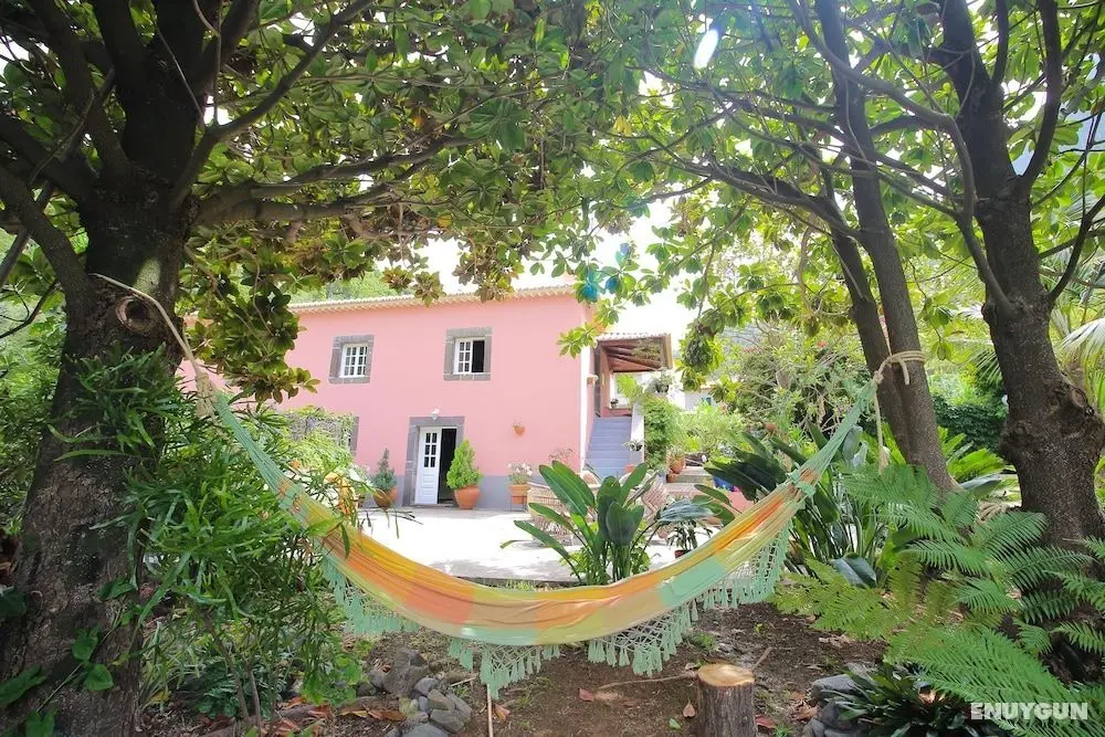 North Coast Guest House - Öne Çıkan Resim