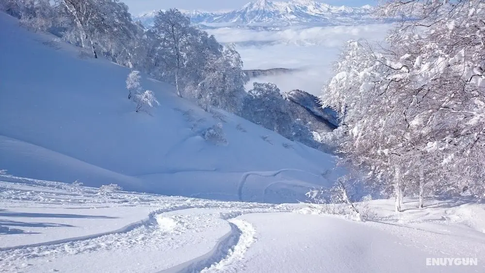 Nozawa Dream Central - Öne Çıkan Resim