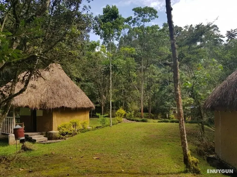 Nshongi Forest Camp - Öne Çıkan Resim