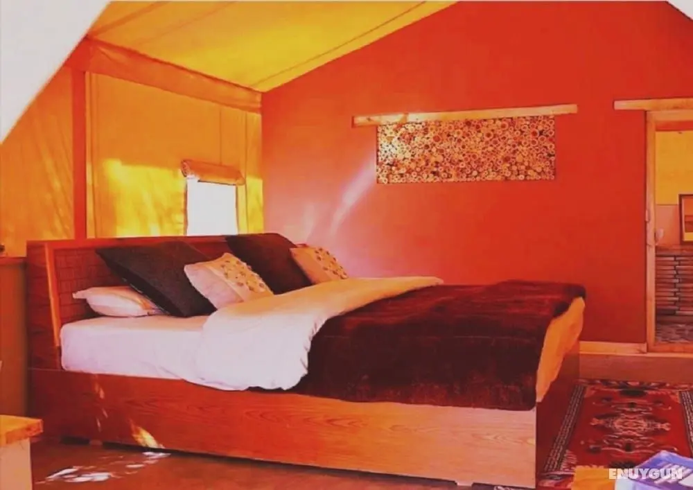 Nubra Organic Retreat - Hunder - Oda