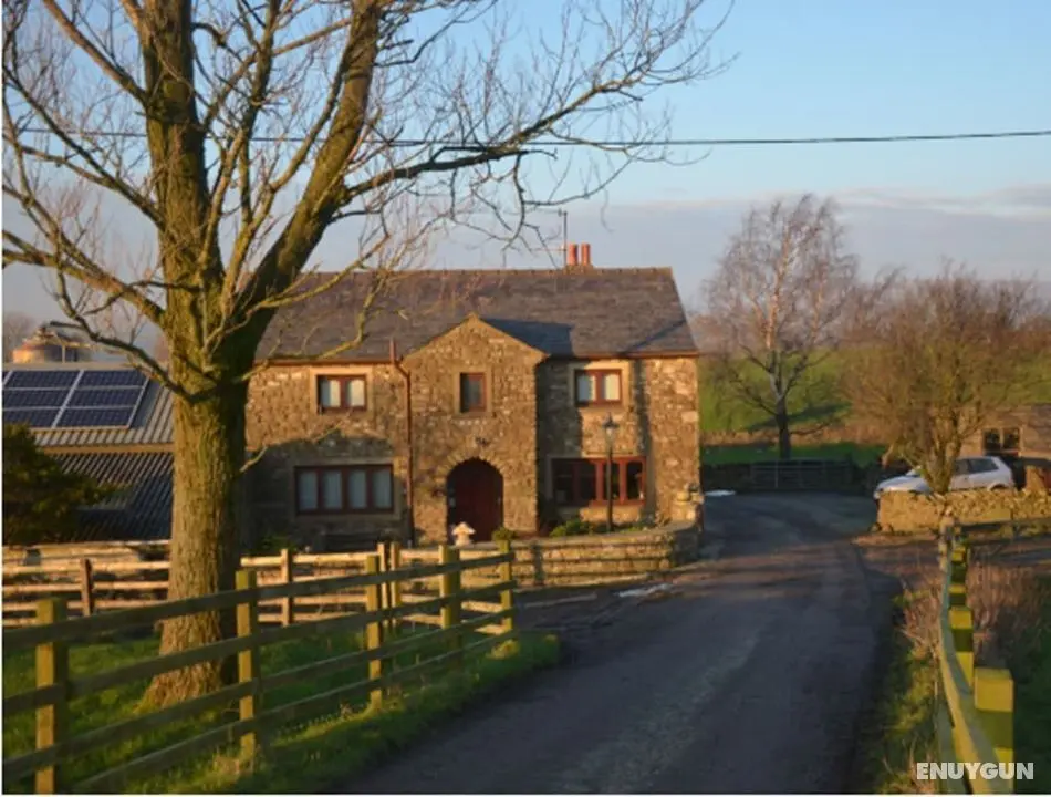 Nutstile Farm - Dış Mekan