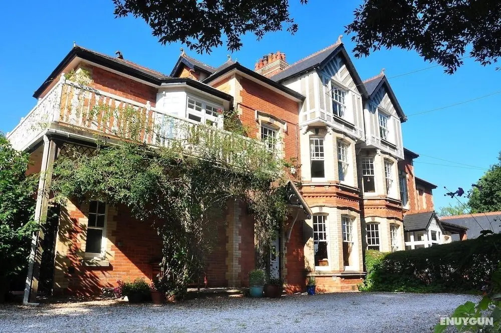 Oaklands Bed & Breakfast - B&B - Öne Çıkan Resim