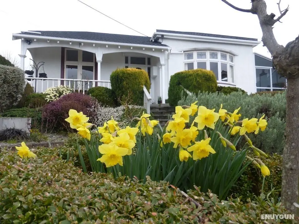 Oamaru Holiday Homes 28 Ure Street - Öne Çıkan Resim