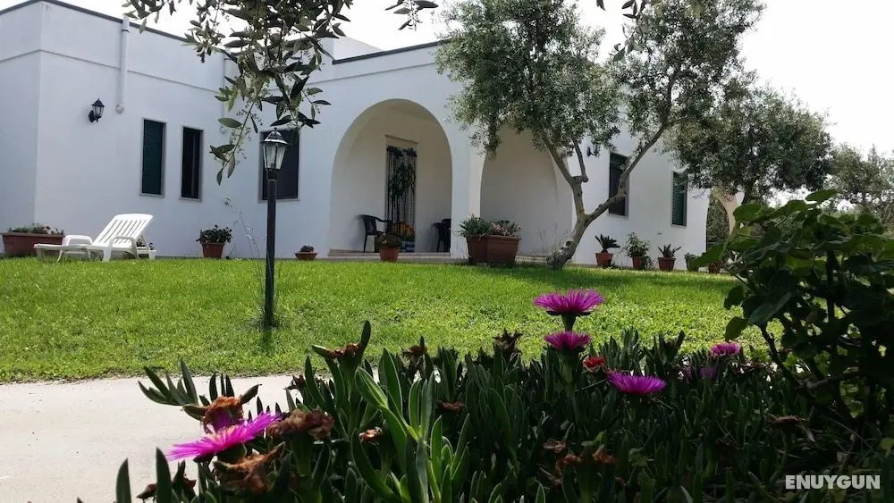 Oasi degli Ulivi - Öne Çıkan Resim