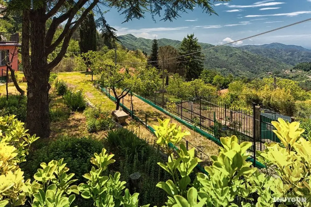 Oasi Verde - Dış Mekan