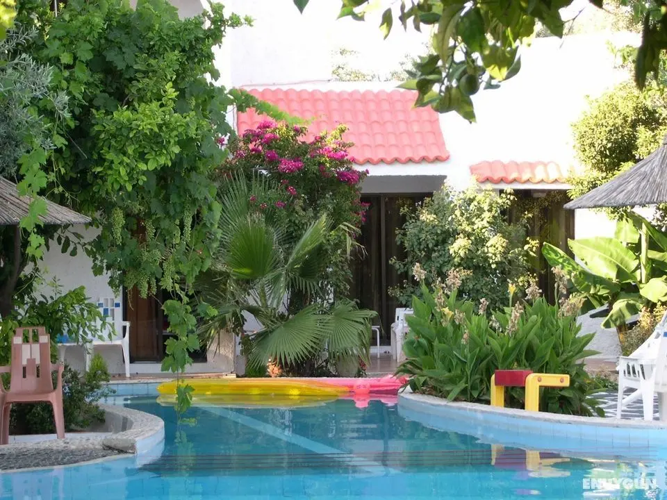 Oasis Hotel Bungalows - Genel