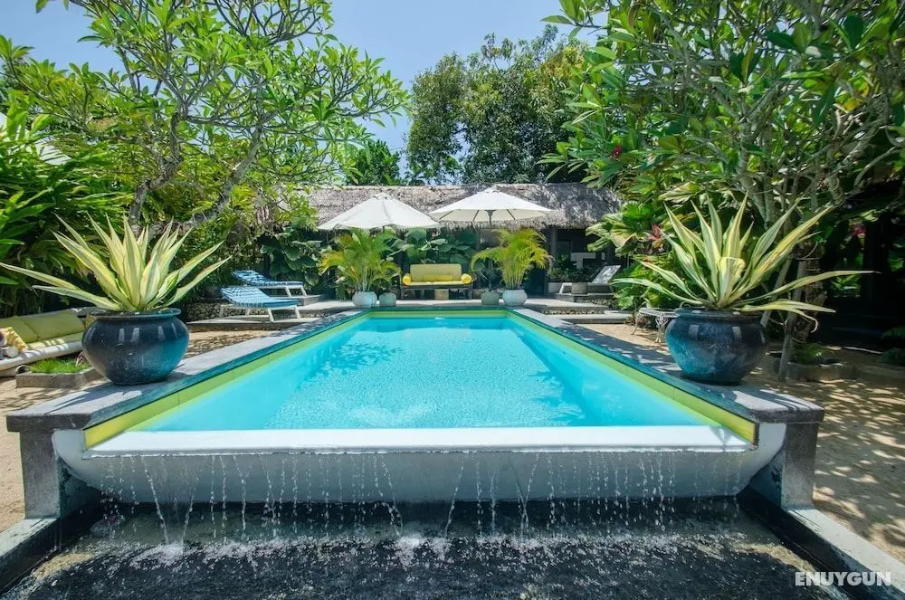 Oasis Canggu Bali - Öne Çıkan Resim