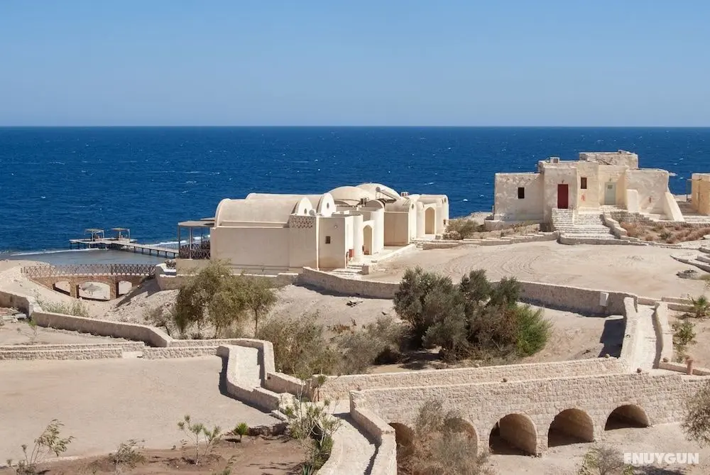 The Oasis Dive Resort - Öne Çıkan Resim
