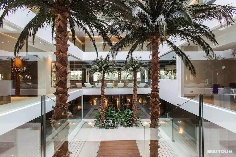 The Oasis by Don Carlos Resort - Öne Çıkan Resim