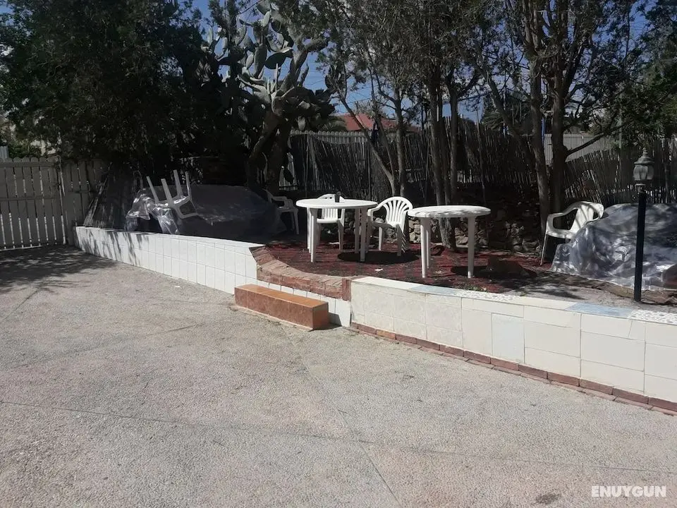 Oasis Negev - Dış Mekan
